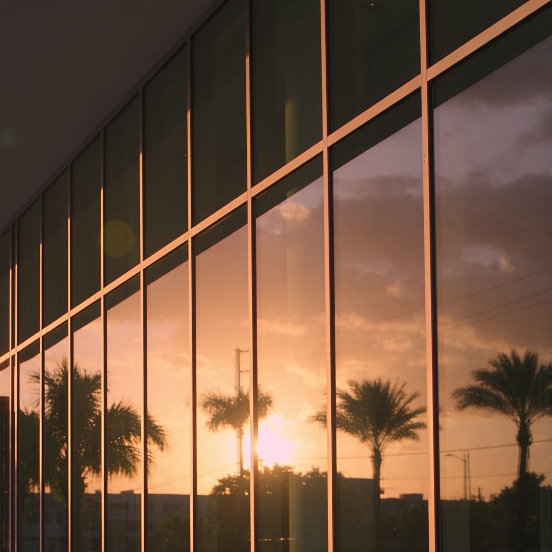 Commercial storefront glass curtain wall reflecting a Miami sunset and palm trees